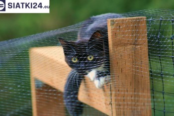 Siatki Pleszew - Dobra siatka balkonowa - na ptaki i dla kota dla terenów Pleszewa