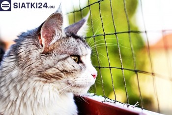 Siatki Pleszew - Siatka na balkony dla kota i zabezpieczenie dzieci dla terenów Pleszewa