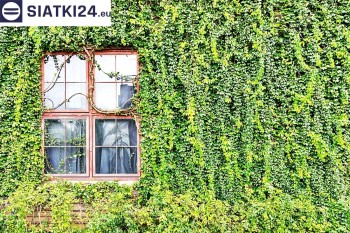 Siatki Pleszew - Siatka z dużym oczkiem - wsparcie dla roślin pnących na altance, domu i garażu dla terenów Pleszewa