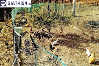 Siatki Pleszew - Siatka na woliery - zabezpieczenia ptaków w hodowli dla terenów Pleszewa